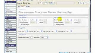 NEC DSX Auto attendant 101  Understanding Call Flow  wwwNECDSXProgrammingcom [upl. by Dagley]