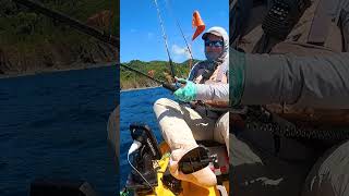 Kayak Fisherman vs HUGE SHARK Offshore Shorts [upl. by Eirotal101]