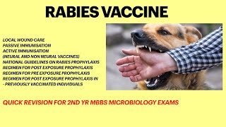 Rabies vaccineRabies virus Rabies vaccine dose and schedule Dog bite For MBBS microbiology exams [upl. by Yenittirb]