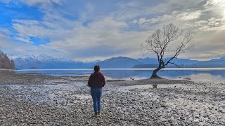 Most photographed Wānaka Tree  Wānaka town  beautiful lakes  scenic drive to Waterfall [upl. by Means353]