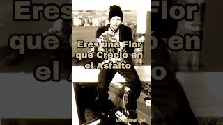 JOVANOTTI  Serenata Rap 1994 [upl. by Gert756]