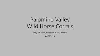 Palomino Valley Wild Horse Corrals 012519 [upl. by Hendrix]