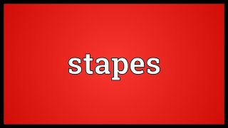 Stapes Meaning [upl. by Silisav]