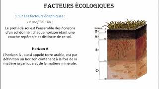 Écologie  Facteurs Écologique بالدارجة [upl. by Annawak]