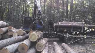 TimberPro TF830B unloading logs [upl. by Haymes]