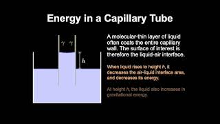 Capillarity A Thermodynamic Perspective [upl. by Charlot]