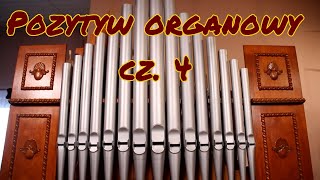 KramuzVlog 14 Pozytyw organowy cz4 [upl. by Dodge]