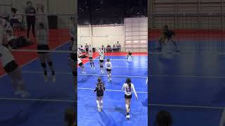 Bailey Hattenhauer Volleyball highlight video 2023 [upl. by Noma]