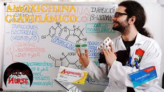 💊 Amoxicilina y Ácido Clavulánico quotAugmentinequot Antibiótico Betalactámico [upl. by Oralle]