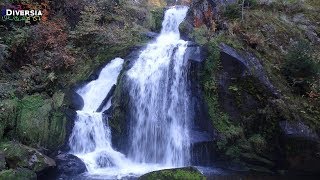 TRIBERGER WASSERFÄLLE  DEUTSCHLANDS HÖCHSTE WASSERFALL  TRIBERG HIGEST WATERFALLS IN GERMANY [upl. by Ydeh15]