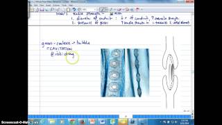 Ch 2K Tensile Strength Cavitation and Embolism [upl. by Driskill]