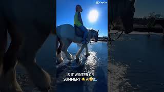 Horse Riding at Muriwai Beach wwwmuriwaibeachhorsetreksconz [upl. by Huebner]