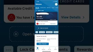 Lower your CPN credit usgage and pay off your credit cards [upl. by Knepper86]