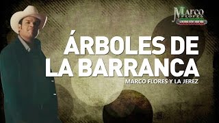 Marco Flores y La Jerez  Árboles de la barranca LETRA [upl. by Eneles]