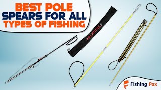 7 Best Pole Spears For All Types Of Fishing [upl. by Adigun]