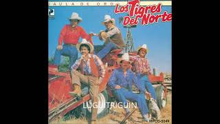 Los tigres Del norte Mix De Viejitas Norteñas [upl. by Esinnej]