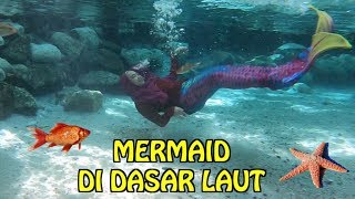 WAH ADA MERMAID DI DASAR LAUT BERENANG SAMA IKAN ASLI 😍 [upl. by Enaffit301]