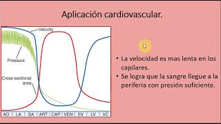 Hemodinamia Parte 2  Cardiovascular y respiratorio [upl. by Willing63]