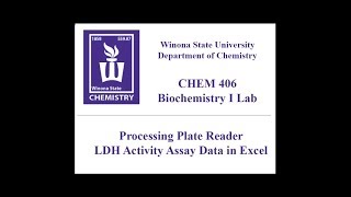 CHEM 406  Processing LDH Activity Assay Data with Excel [upl. by Ahsyen533]