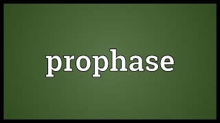 Prophase Meaning [upl. by Assilat596]