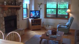 Vacation Rental Cabin Blairsville GA Pet Friendly [upl. by Allx858]