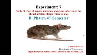 Study the effect of hepatic microsomal enzyme inducers on the phenobarbitone sleeping time in mice [upl. by Gracia388]