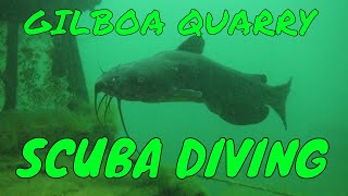 Gilboa Quarry OHIO freshwater scuba diving  Gopro [upl. by Slinkman]