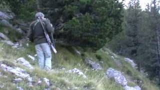 approche sur brocard halpes deer hunting [upl. by Peppie892]