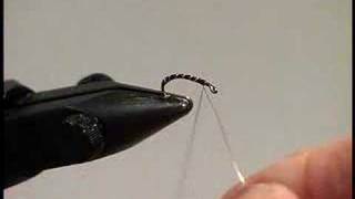 Learn Fly Tying Lesson 1 for Beginners The Buzzer with David Cammiss [upl. by Pardew]