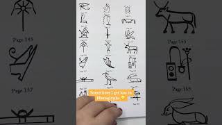 Write Hieroglyphs Like an EGYPTIAN Hieroglyphic Calligraphy for Beginners Level up your creativty [upl. by Eddra]