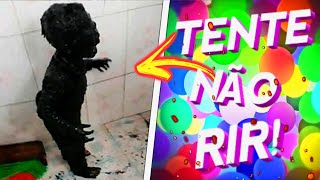 1 HORA DE TENTE NÃƒO RIR  OS MELHORES MEMES  VIDEOS ENGRAÃ‡ADOS 26 [upl. by Baillieu]