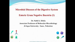 ‏‏‏‏‏‏  1 Enteric Gram Negative Bacteria [upl. by Aihtibat678]