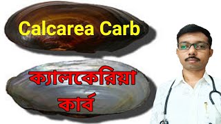 Calcarea Carbonica  Calcarea Carb Homeopathic Medicine Bangla  ক্যালকেরিয়া কার্ব [upl. by Etnor]