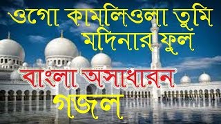 Bangla New Gojol 2019।Bangla Best Gojol।Bangla Islamic Song।gojol।bangla gojol।Sm Sofikul [upl. by Aneahs]