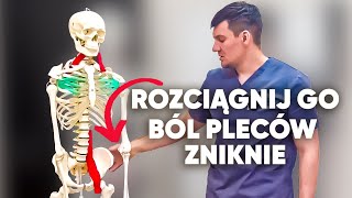 Rozciągnij ten mięsień i zapomnij o bólu pleców Nie czekaj zrób to teraz [upl. by Alver849]