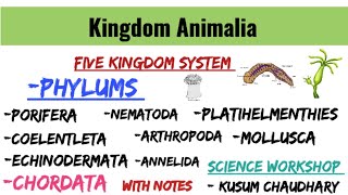 Kingdom Animalia Porifera  Coelenterata nematoda  Chordata  Echinodermata Platihelmenthis [upl. by Inalak]