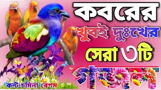 পরো কালের খুবই দুঃখের সেরা মায়াবী কন্টে নতুন ৩টি gojol  Chomina Begum  New hart top 3Gojol [upl. by Teodor98]