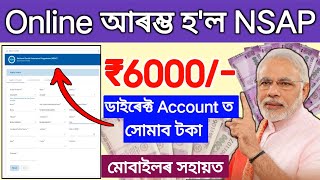 Online Apply NSAP Scheme 2024  ₹6000 All Beneficiary  How to online apply old pension scheme [upl. by Gill111]