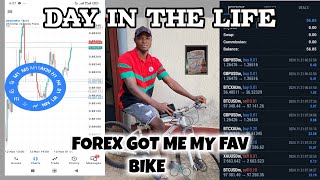 DAY IN THE LIFE OF A FOREX TRADER seo forex [upl. by Landmeier]