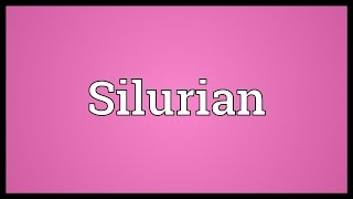 Silurian Meaning [upl. by Orva356]