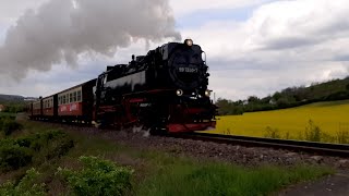 Die Selketalbahn 23042024 Quedlinburg Quarmbeck und Gernrode Harz [upl. by Sylvanus]