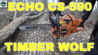 Echo CS590 Timber Wolf Review After 2 Years 25 [upl. by Yttiy]