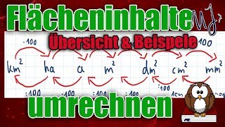 Flächeneinheiten umrechnen  Einfach mit einer Übersicht  Mit Beispielen [upl. by Kcirb]