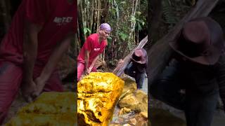 AMAZING WORKERS SKILLS DIGGING GOLD NUGGETS shortvideo trendingshorts metaldetecting water [upl. by Ailemrac]