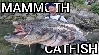 Fishing mammoth 220 pound Fish with a short rod by Catfish World [upl. by Iloj]