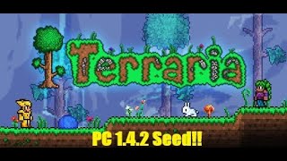 Outdated  New Seed Soon Terraria 142  Aglet Seed [upl. by Geithner]