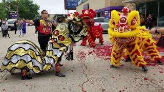 Lion Dance Firecrackers and Greeting  ZYKFA Grand Reopening [upl. by Josephson]