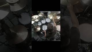 Wynonas Big Brown Beaver by officialprimus drum rendition  click the link for full vid [upl. by Trik822]