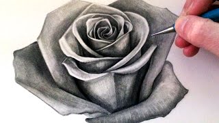 How to Draw a Rose [upl. by Fronnia]