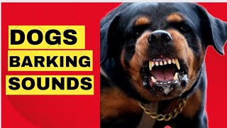 Rottweilers barking and growling will crack you up 😁 [upl. by Shane]